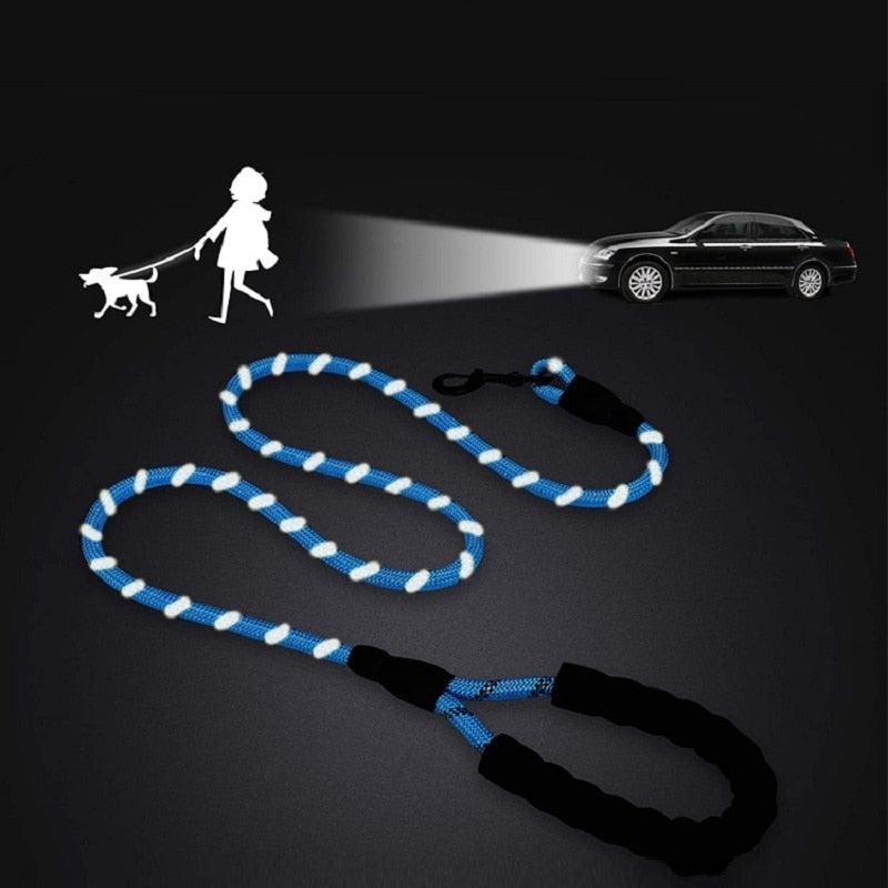 Collier Réfléchissant Résistant pour Chien