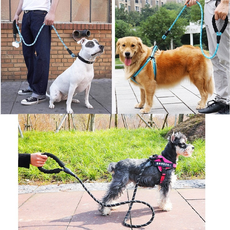 Collier Réfléchissant Résistant pour Chien