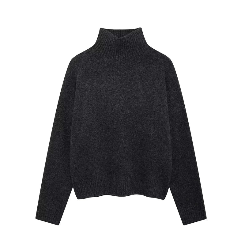 Pull à Col Roulé et Manches sulfpour Femme