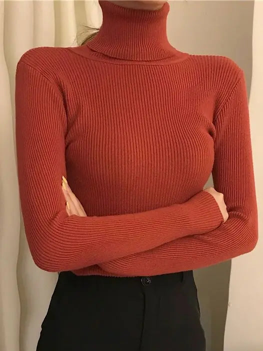 Pull à col roulé  cachemire doux pour femme