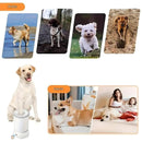 Nettoyeur de Pattes Électrique USB Rechargeable pour Animaux